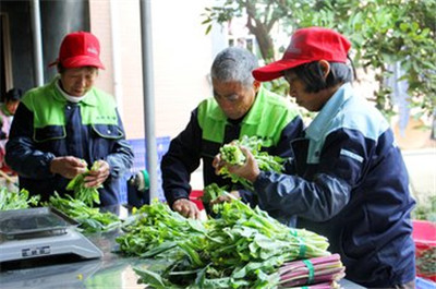米乐m6官网app登录:男子鸡肚里掏出8两重鸡宝价值连城 证实为肿瘤