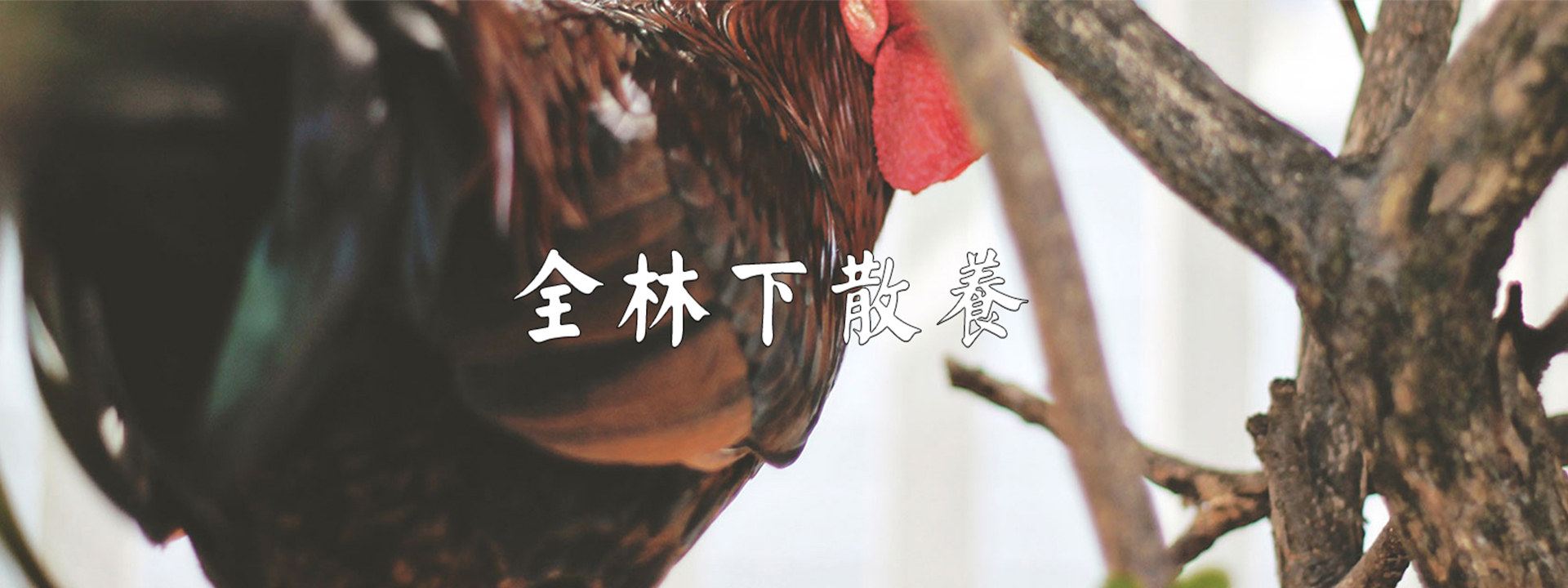 米乐体育m6下载
